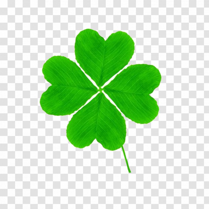 Four-leaf Clover Saint Patricks Day Clip Art - Symbol Transparent PNG