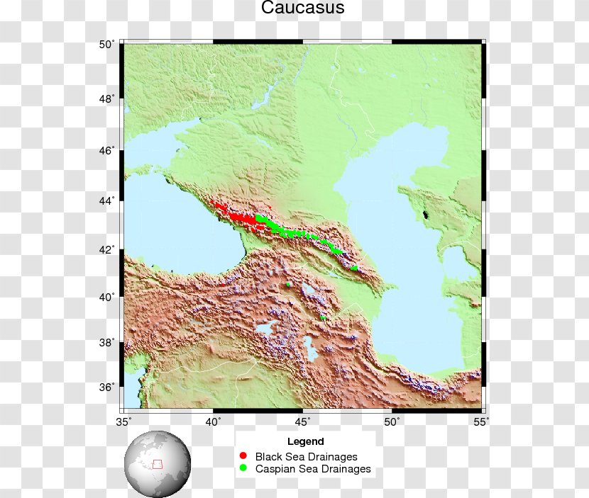 Ecoregion Water Resources Tree Transparent PNG