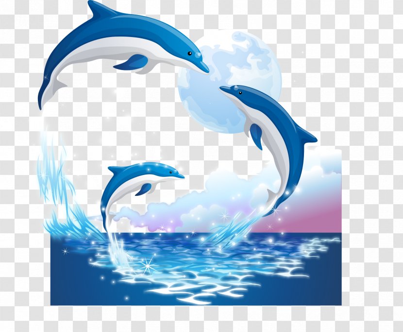 Porpoise Sticker Illustration - Whales Dolphins And Porpoises - Dolphin Transparent PNG