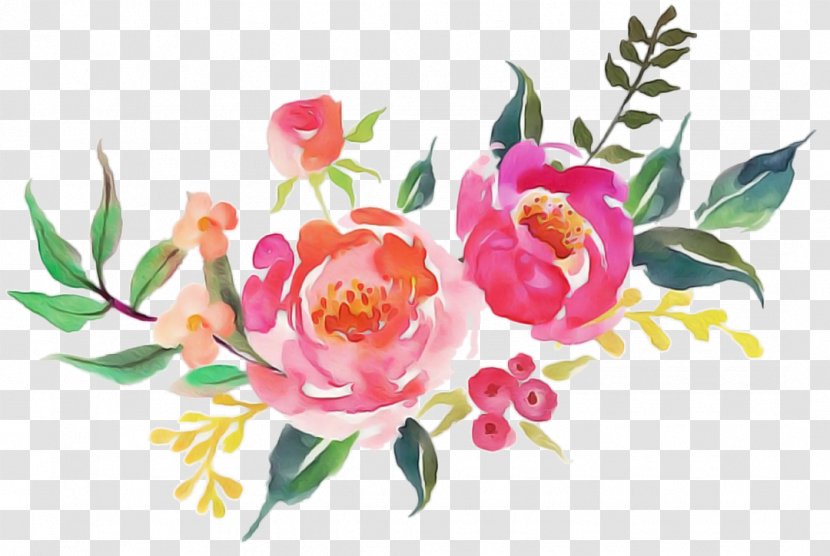 Garden Roses - Rose Family Transparent PNG