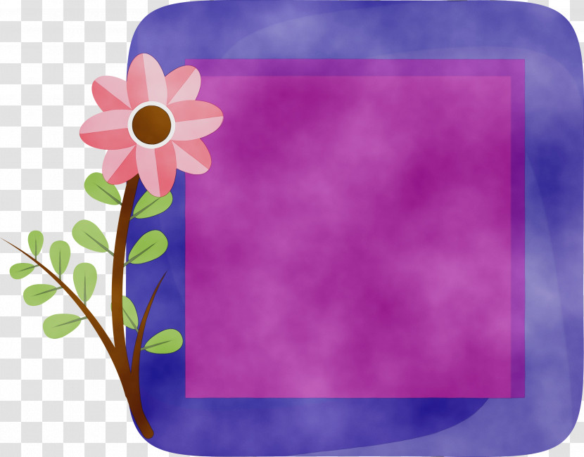 Picture Frame Transparent PNG