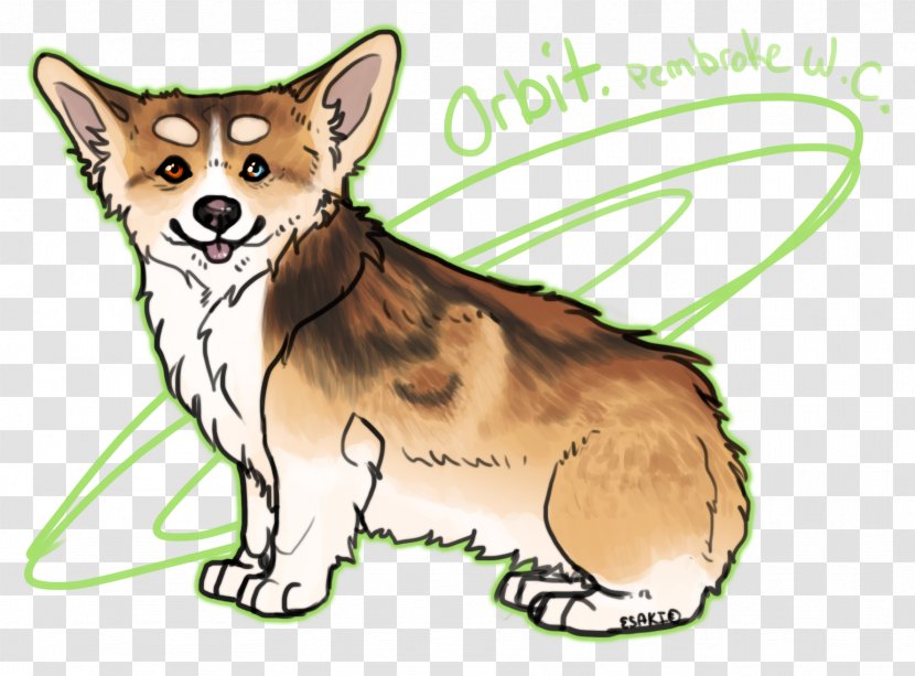 Dog Breed Red Fox Pit Bull Whiskers Rough Collie - Cat Transparent PNG