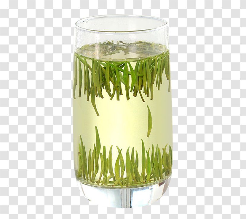 Green Tea Junshan Yinzhen Oolong Flowering - Highball Glass - Standing In The Water Transparent PNG