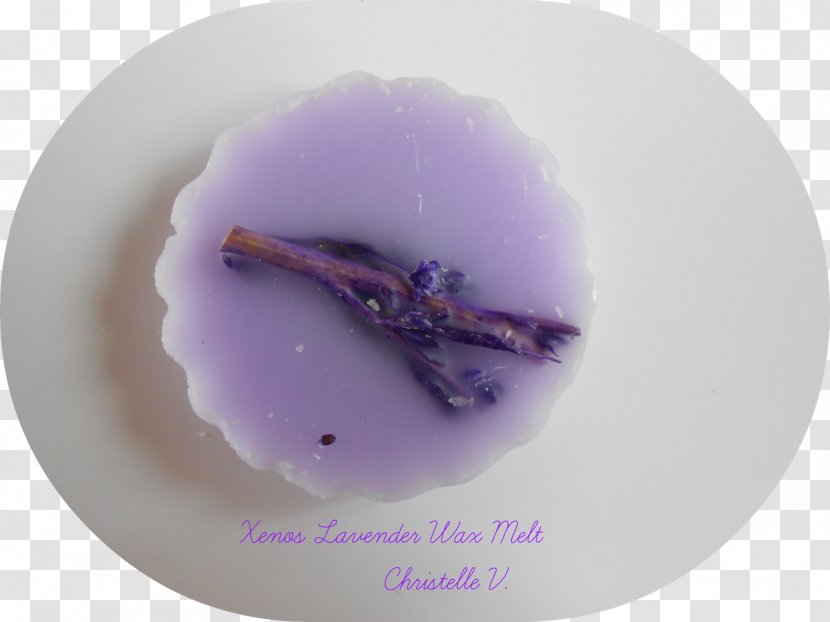 Purple - Violet Transparent PNG