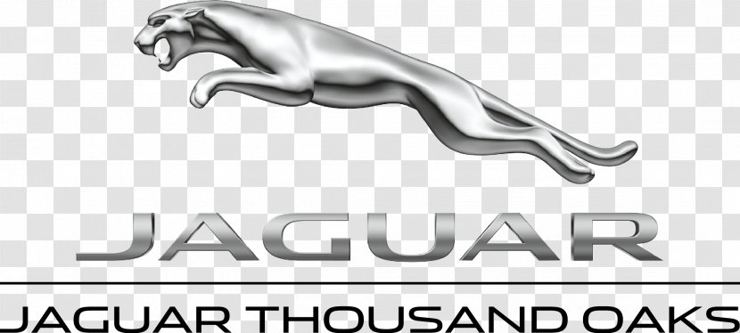 Jaguar Cars Car Dealership Land Rover Used Transparent PNG