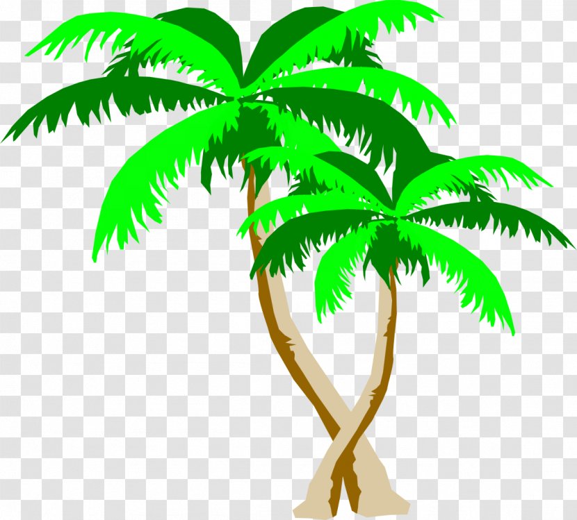 Arecaceae Leaf Plant Stem Tree Clip Art - Arecales Transparent PNG