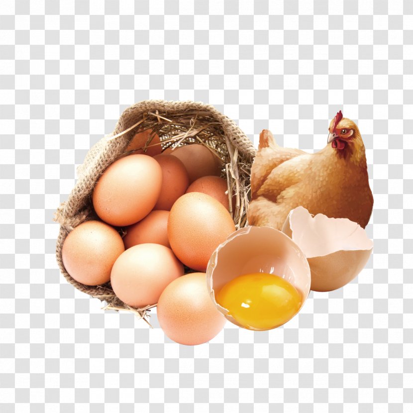 Chicken Organic Food Veal Milanese Egg Bocadillo - Live Stupid Eggs Publicity Transparent PNG