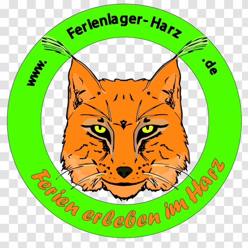 Ferienlager Harz Infinity Surfcamp Sri Lanka Berlin Liquide Facebook Whiskers - Cat Like Mammal - Adolescents Flyer Transparent PNG