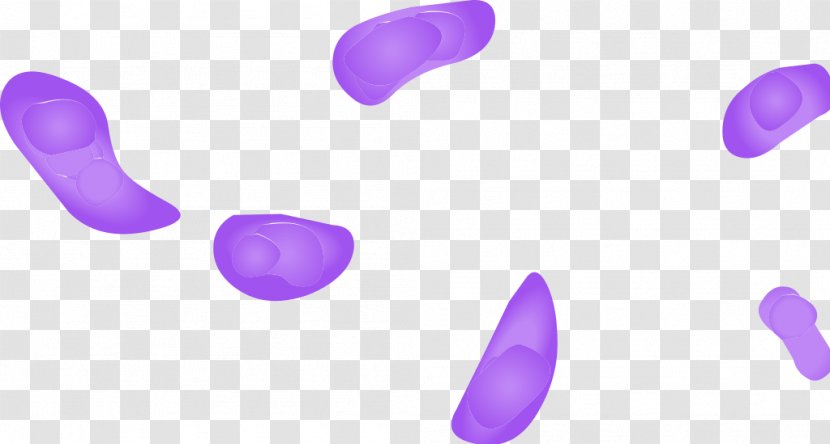 Platelet Thumbnail - Violet - Immune System Transparent PNG