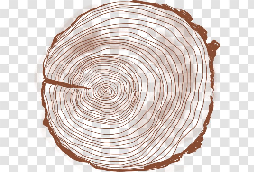 Circle - Spiral - Tree Ring Transparent PNG