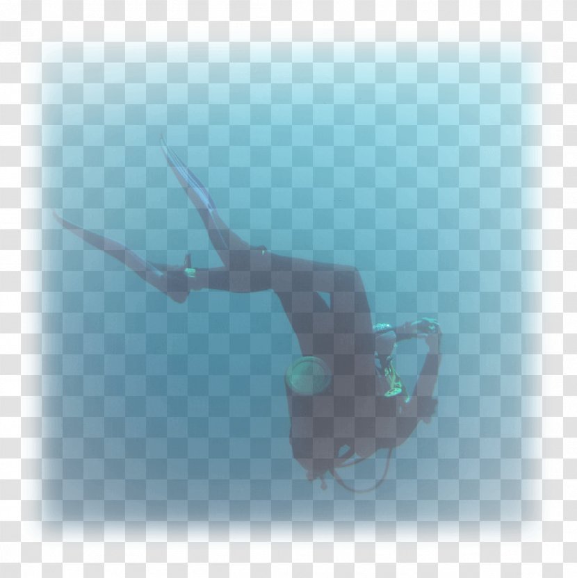 Free-diving Underwater Divemaster - Water Transparent PNG