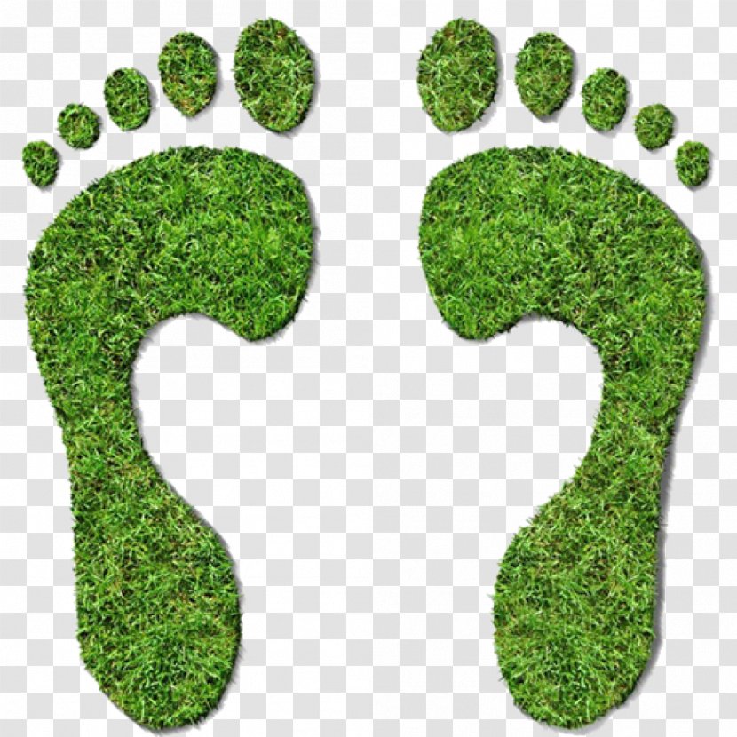 Carbon Footprint Ecological Neutrality Offset Greenhouse Gas - Dioxide Equivalent - Natural Environment Transparent PNG