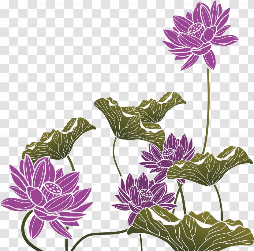China Purple - Flowering Plant - Lotus FIG. Transparent PNG