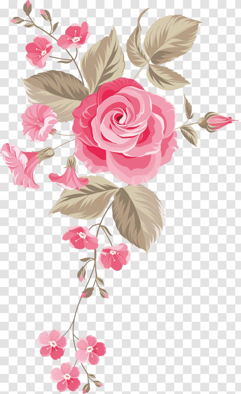 Garden Roses Centifolia Floral Design Cut Flowers Flower Bouquet - Rosa - Hand-painted Background Transparent PNG