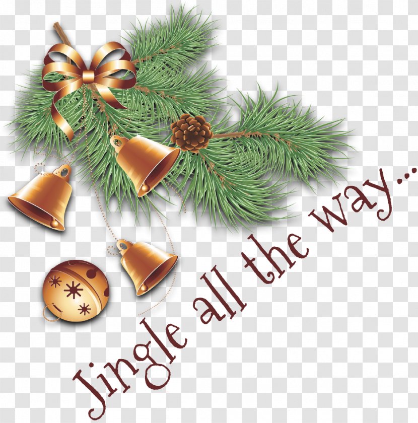 Christmas Ornament Font - Pine Family - Timetable Countdown Creative Plans Transparent PNG