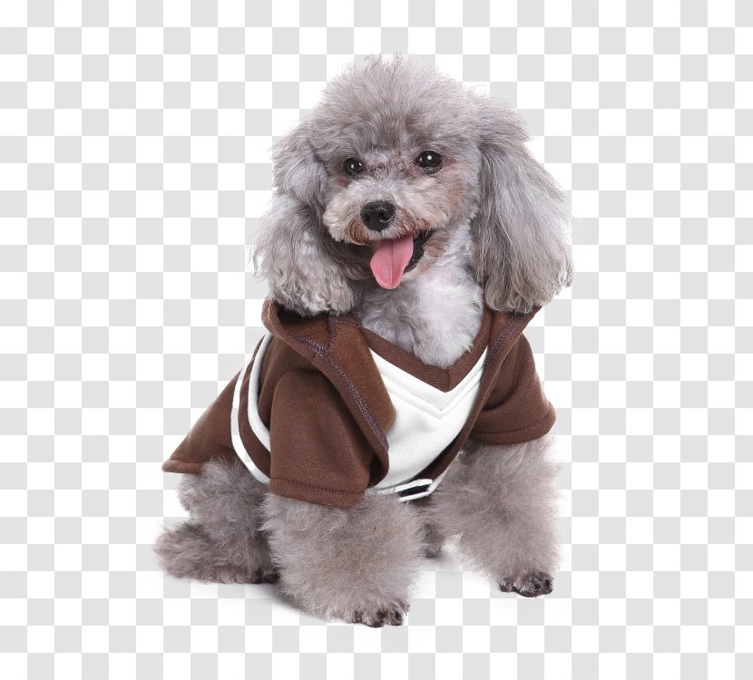 Costume Hoodie Robe Dog Clothing - Clothes Transparent PNG