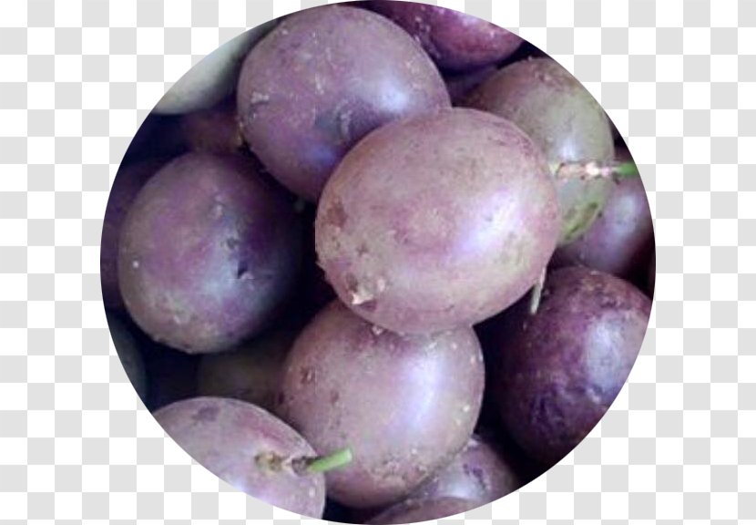 Potato Turnip Rutabaga Tuber Food - Purple Transparent PNG