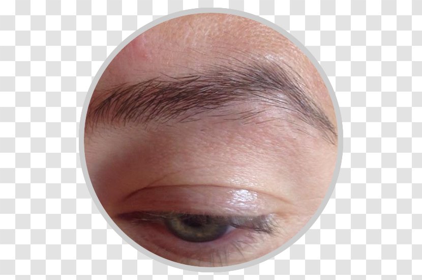 Eyelash Extensions Eyebrow Eye Shadow Forehead Cheek - Nose Transparent PNG