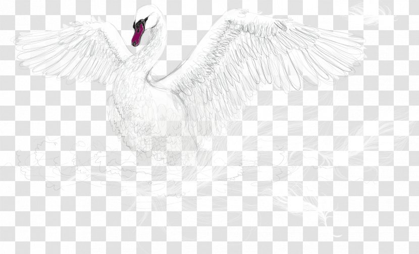 Water Bird Goose White Cygnini - Feather - Vector Swan Transparent PNG