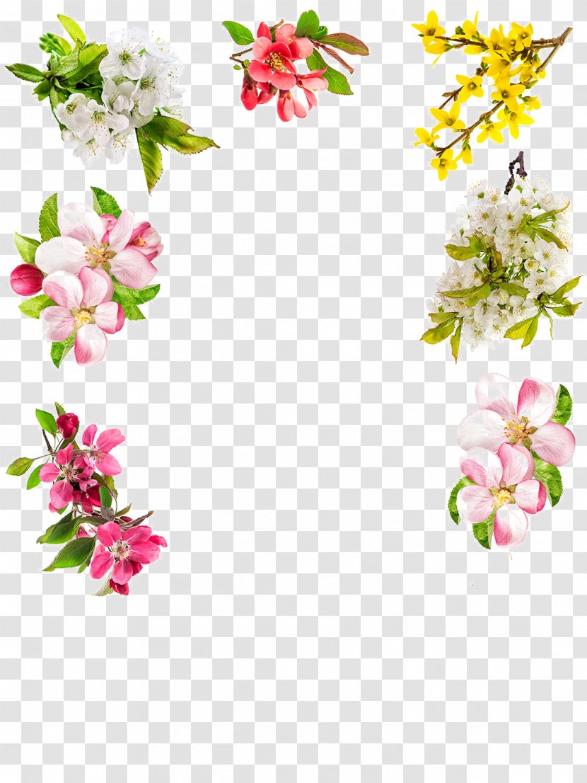 Floral Design Blossom Stock Photography Flower - Sweet Cherry - Flowers Plant Material Transparent PNG