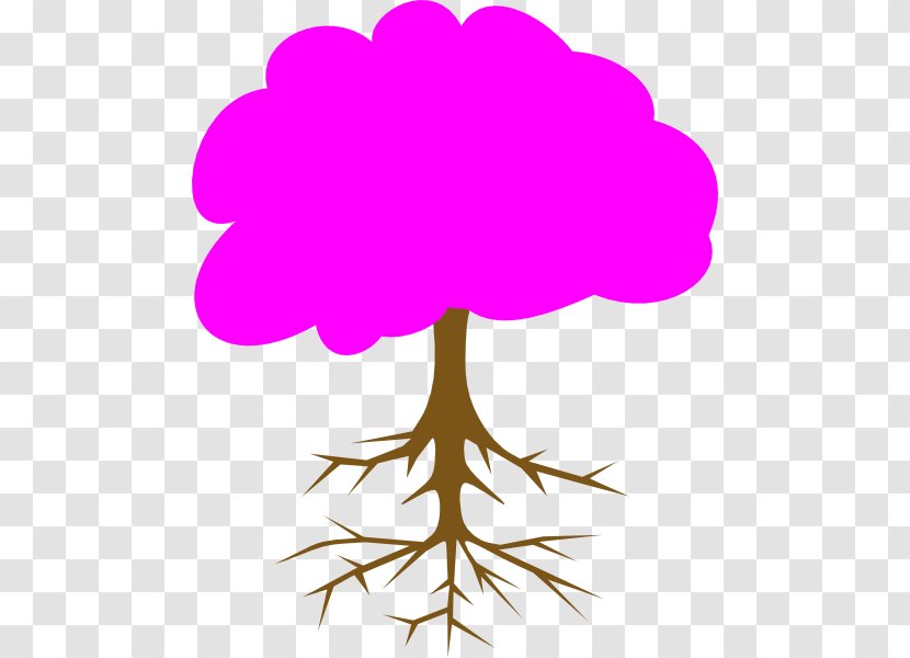 Clip Art Tree Root Branch Image - Can Stock Photo - Pink Transparent PNG