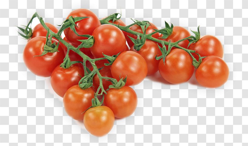 Vegetable Fruit Produce Cherry Tomato Aubergines - Flowering Plant - Canning Background Tomatoes Transparent PNG