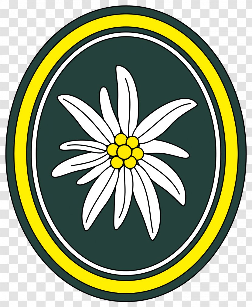 Gebirgsjäger Germany Army Leontopodium Nivale Edelweiss - Flowering Plant Transparent PNG