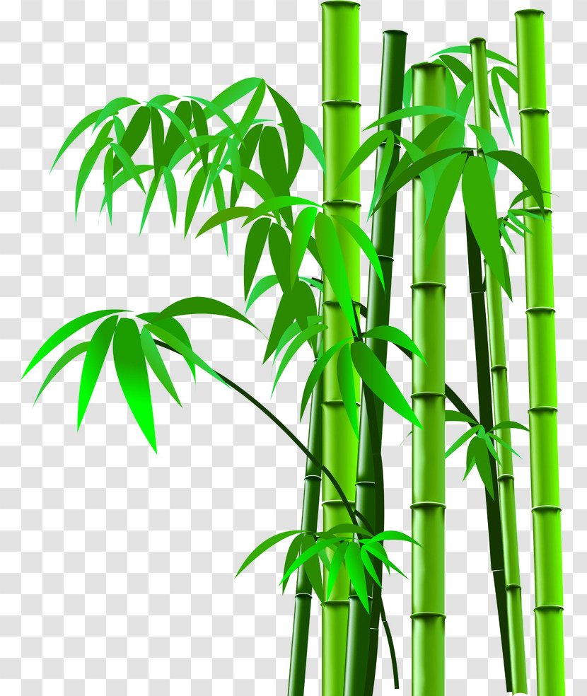 Bamboo Image Scanner - Plant Stem - Cartoon Picture Silhouette,bamboo Transparent PNG