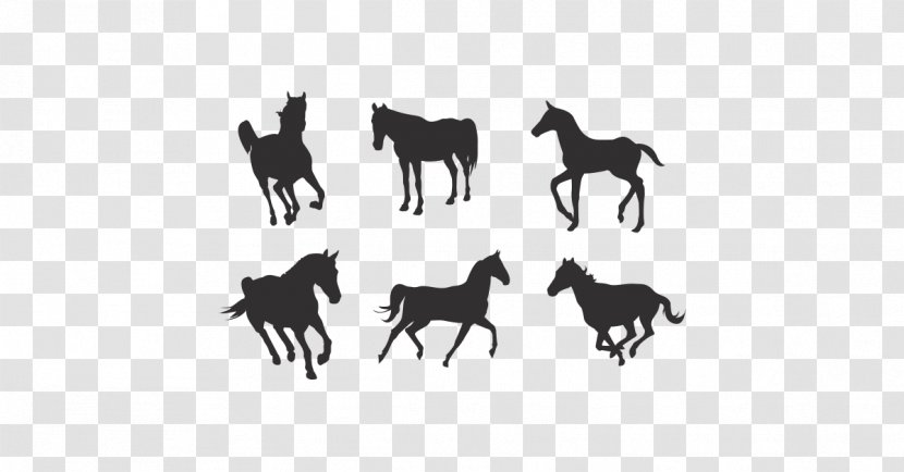Horse Silhouette Clip Art - Black And White Transparent PNG