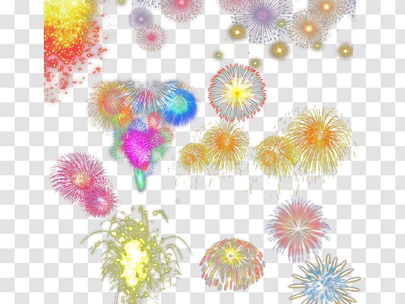 Floral Design Petal Dahlia Pattern - Floristry - Fireworks Transparent PNG