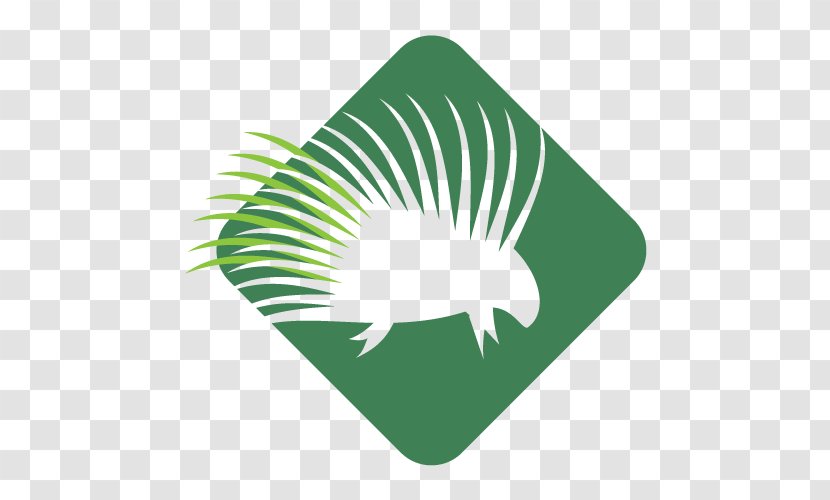 Park City Trail Series Leaf Logo Course Transparent PNG