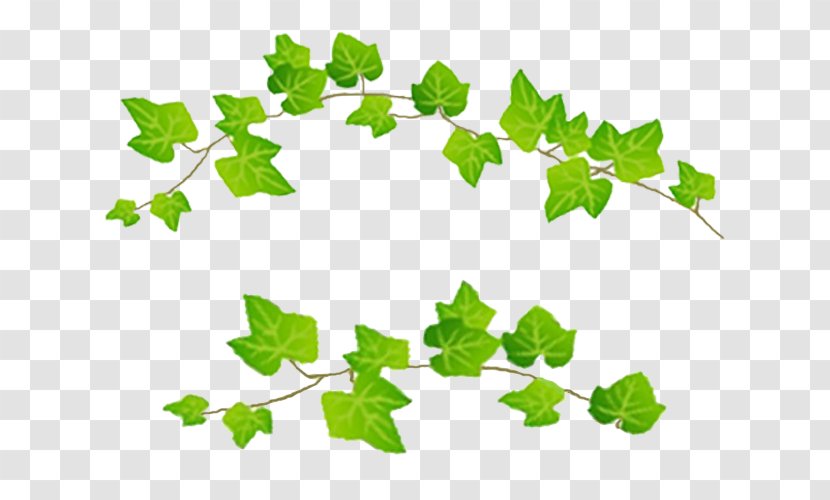 Naver Blog Leaf Plant Stem - Hojas Transparent PNG
