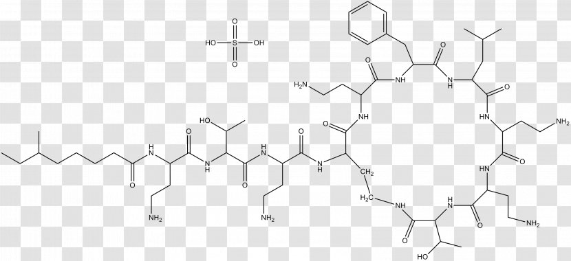 Polymyxin B Bacteria Antibiotics Structure - Tree - Drugs Transparent PNG