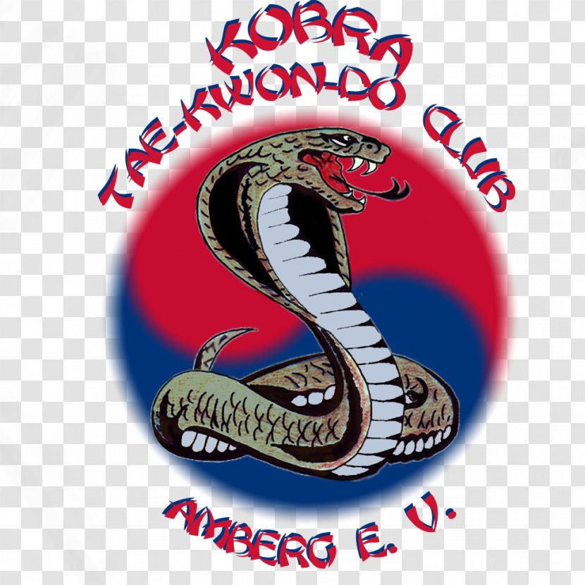 Dreifaltigkeits-Mittelschule Coach Training Taekwondo Schulfest - Amberg - Logo Transparent PNG