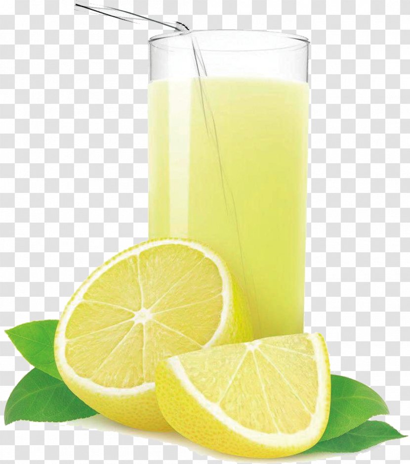 Orange Juice Lemonade Lemon - Lime Transparent PNG