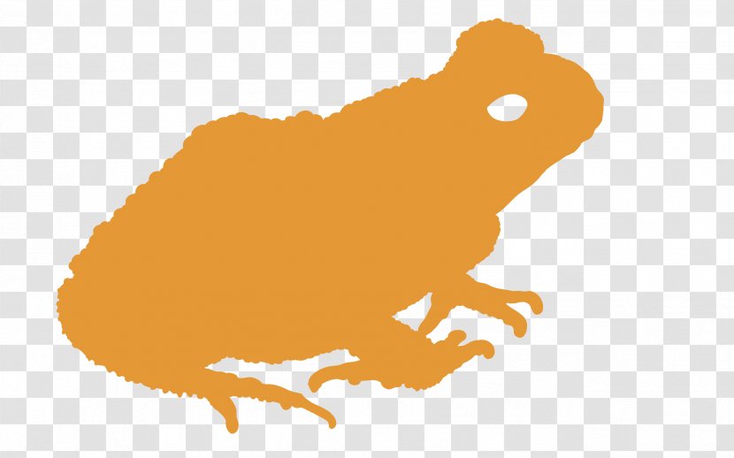 Toad Clip Art Tree Frog Fauna - Orange Sa - Xanh Transparent PNG