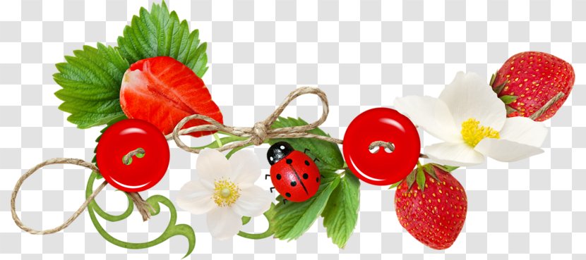 Strawberry Amorodo Photo-book Clip Art - Diet Food - Hand-painted Transparent PNG