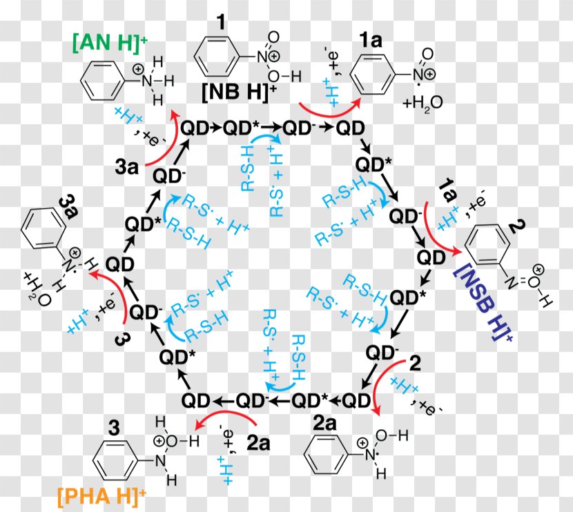 Quantum Dot Photocatalysis Nitrobenzene Aniline - Phenylhydroxylamine Transparent PNG