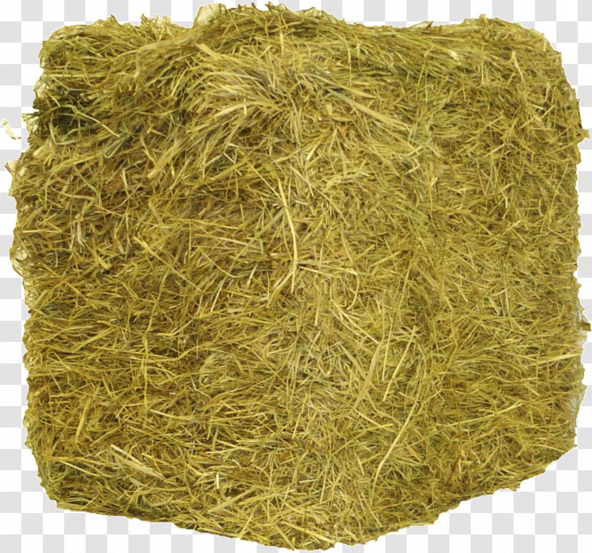 Hay Straw Baler Agriculture Cattle - Tractor Transparent PNG