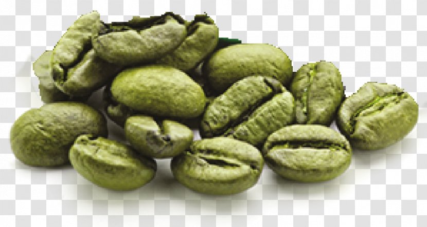 Green Coffee Extract Energy Drink Bean - Superfood Transparent PNG