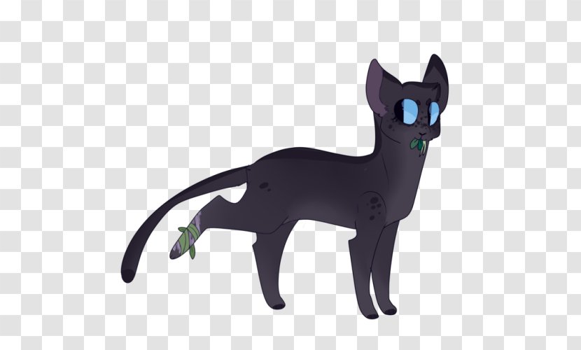 Whiskers Cat Puma Tail Animal Transparent PNG