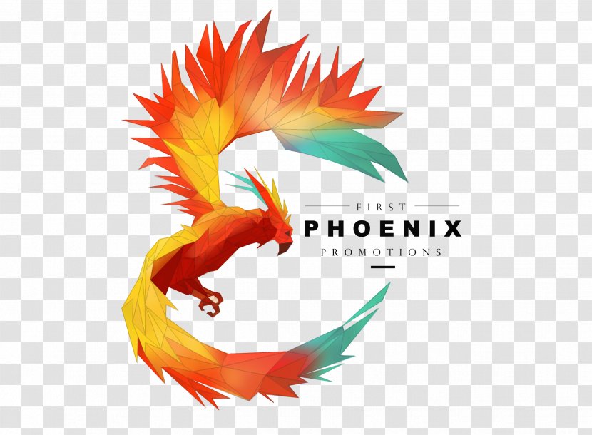 First Phoenix Promotions Desktop Wallpaper Chicken Logo Beak - Computer - Feather Transparent PNG