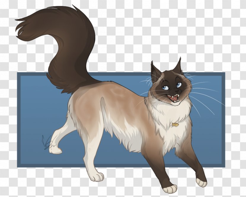 Whiskers Cat Dog Breed Drawing Transparent PNG