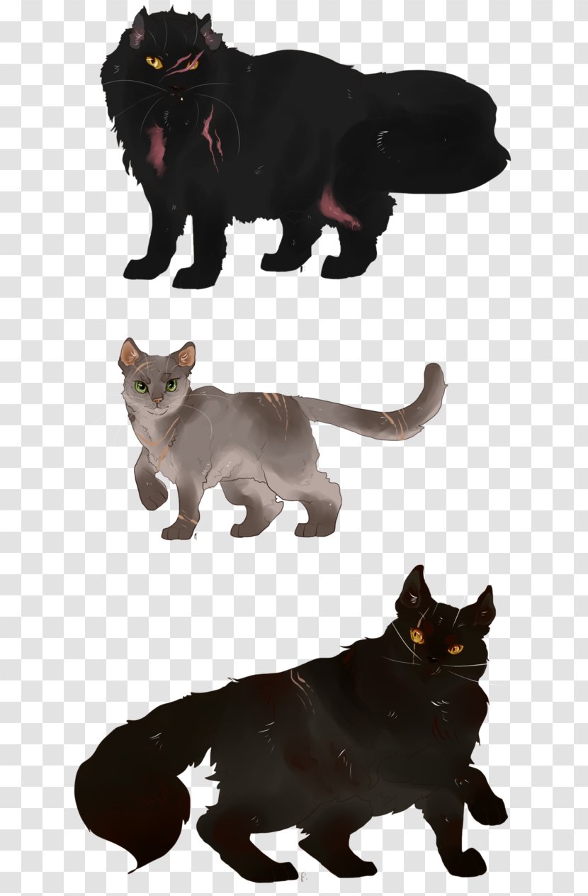 Black Cat Whiskers Dog Littlecloud Transparent PNG