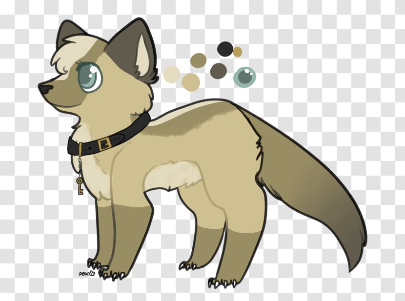 Whiskers Red Fox Cat Dog Procyonidae Transparent PNG