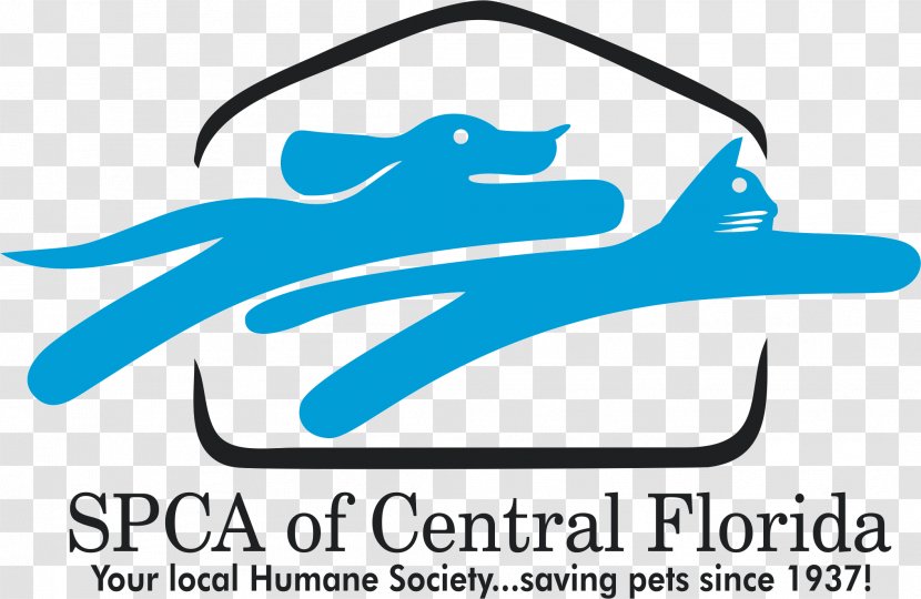 Society For The Prevention Of Cruelty To Animals Florida Cat Pet Humane - Organism Transparent PNG