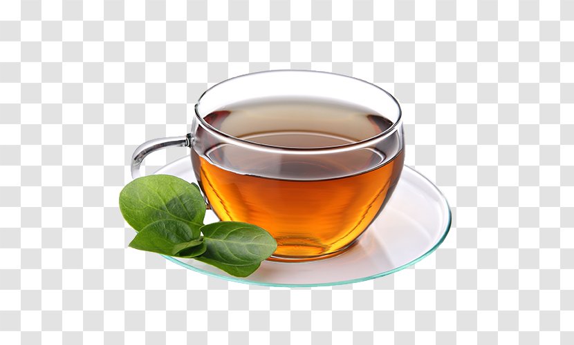 Assam Tea Green Leaf Grading White - Teacup Transparent PNG