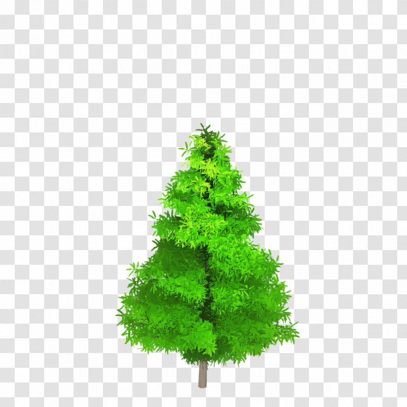Christmas Tree - Green - Plant Leaf Transparent PNG