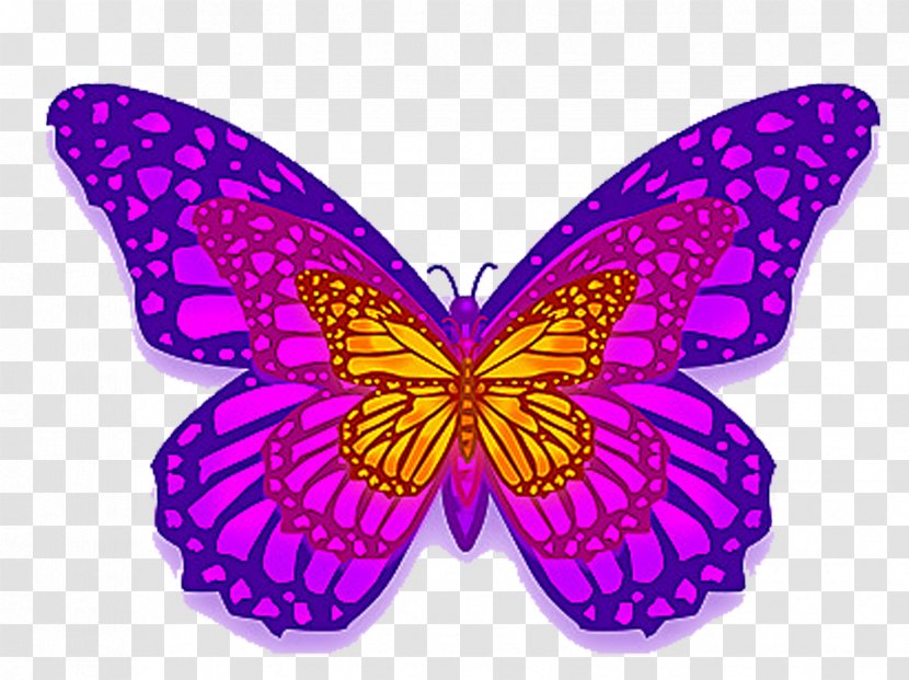 Monarch Butterfly Purple - Symmetry Transparent PNG