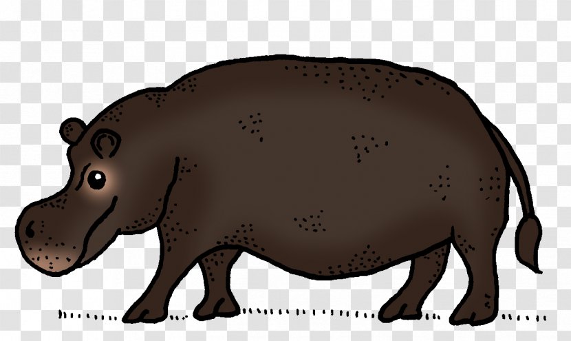 Pig Cattle Wildlife Fauna Snout - Organism Transparent PNG